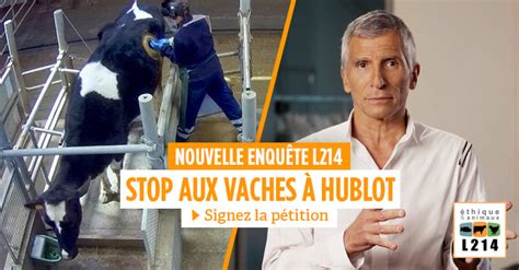 petition contre vache hublot|[VIDÉO] Stop aux vaches à hublot .